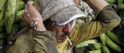Man with cigarette in mouth carrying bananas on his back