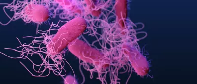 a medical illustration of drug-resistant, nontyphoidal, Salmonella